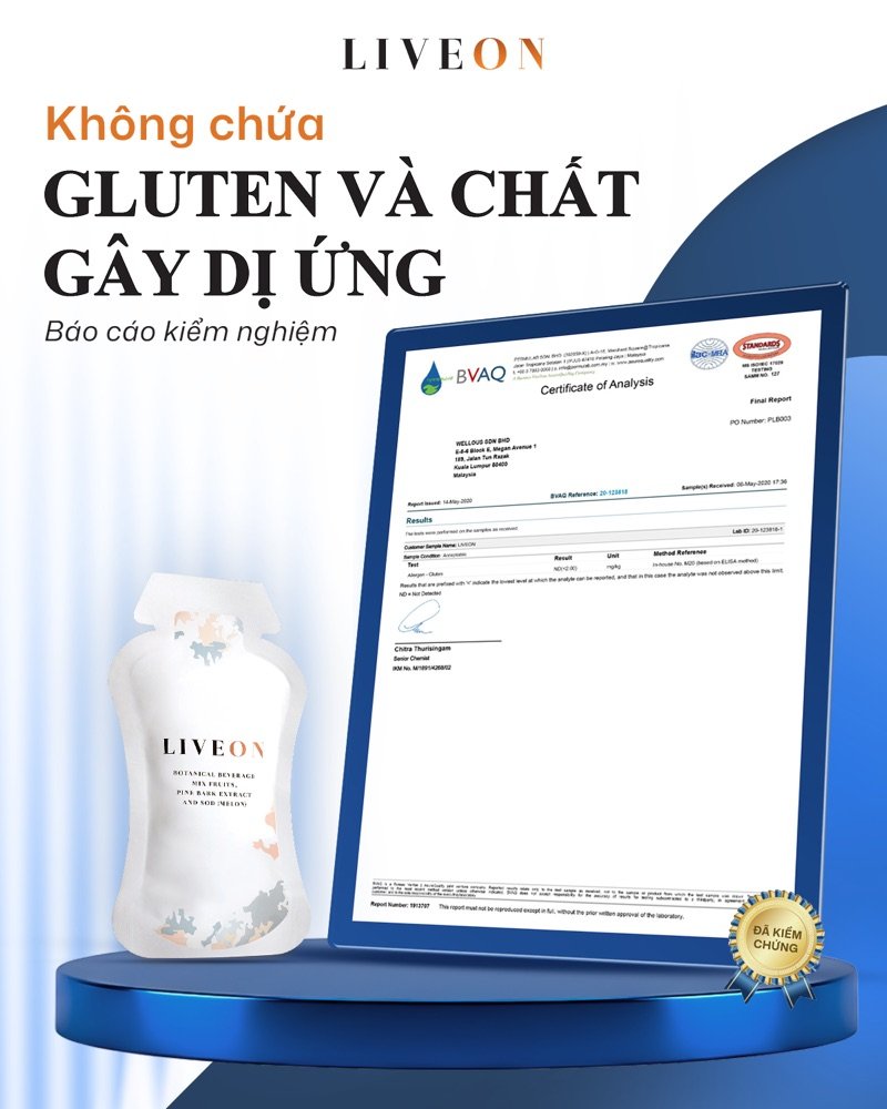 Không gluten và chất gây dị ứng
